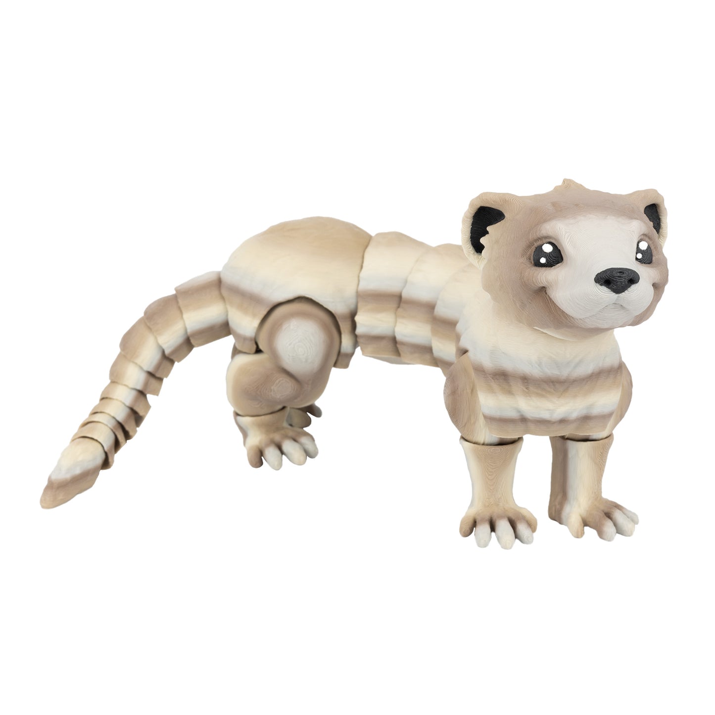 Ferret - Cappuccino