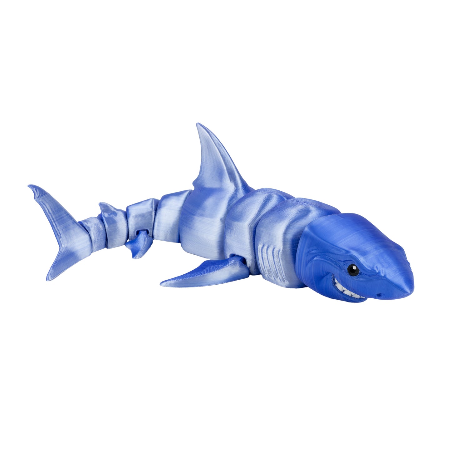 Shark - Blue-white